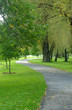 green pathway