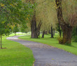 shaded path