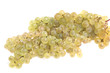 raisin chasselas_5517 raisin chasselas_5517