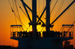 sunset in the harbor