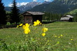 holzhütte