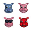 piggy emoticons