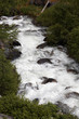 mountain river