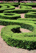 hedge maze