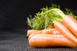 vegetable