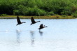 the takeoff - 2