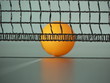 table tennis table tennis