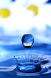 watersplash with reflection of flowers