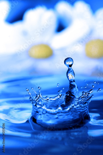 Photo: watersplash with reflection of flowers watersplash with reflection of flowers