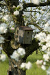 Foto: wohnidylle im grünen wohnidylle im grünen