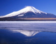 cool reflections