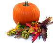 pumpkin