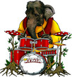musicien elephant
