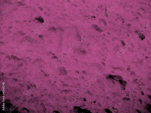 Photo: purple sponge purple sponge