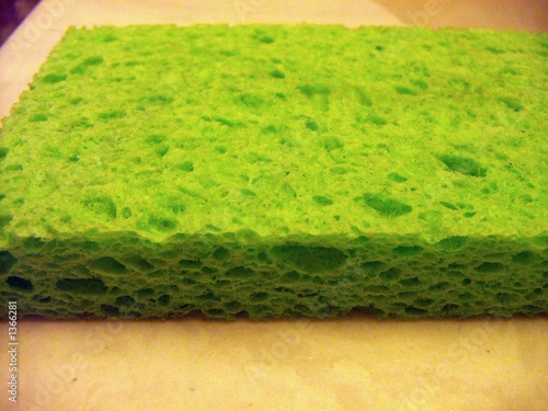 Photo: green sponge green sponge