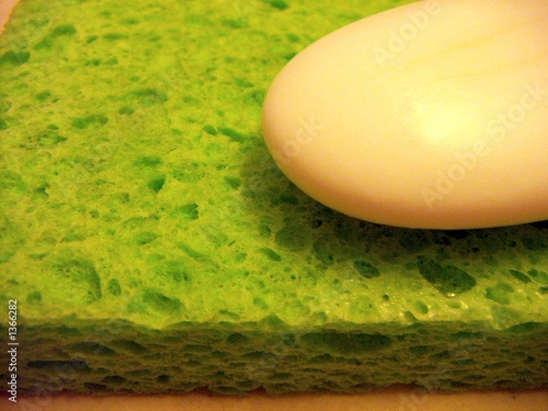 Photo: sponge and soap sponge and soap