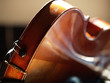 violon gros plan