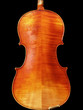 violon vue arrière