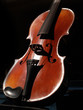 violon