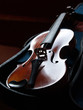 violon