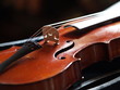 violon