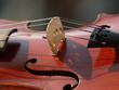 violon chevalet