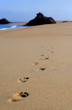 trace sur une plage
