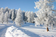 schnee-spazierweg
