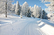schneeweg