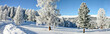 schnee schnee schnee