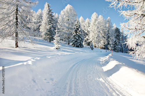 schneeweg