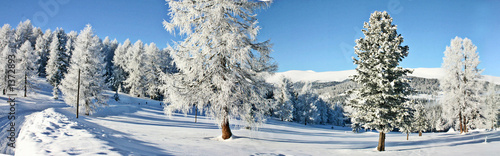 schnee schnee schnee