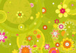 many flowers