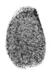 finger print