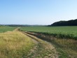 farm view