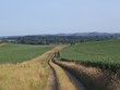 farm view