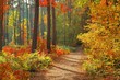 Photo: colors of fall colors of fall