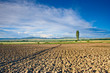 farmland in countryside
