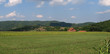 landscape vith corn fields