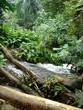 chute2