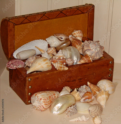 beach treasures beach treasures