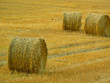 hay bales hay bales