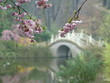 weise brücke