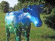 blaue kuh