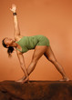 yoga pose arm extension