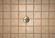 shower tile work and drain