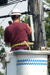 lineman talking on a touchtone lineman talking on a touchtone
