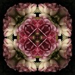 Illustration: kaleidoscope pattern kaleidoscope pattern