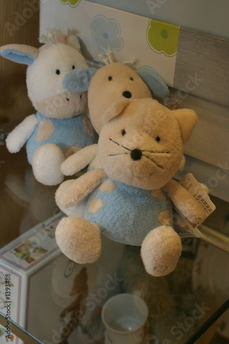 Photo: teddys teddys