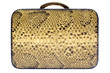 snakeskin bag w/ path (side view)